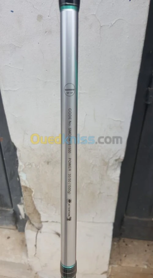 canne plus moulinet electrique