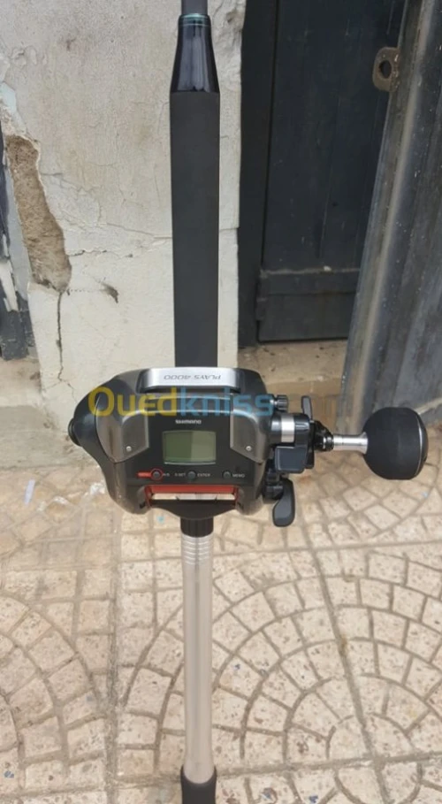 canne plus moulinet electrique