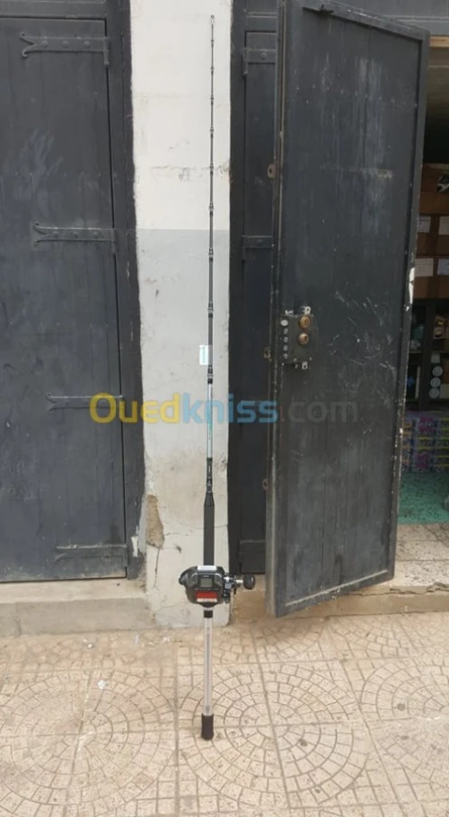 canne plus moulinet electrique