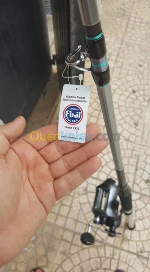 canne plus moulinet electrique