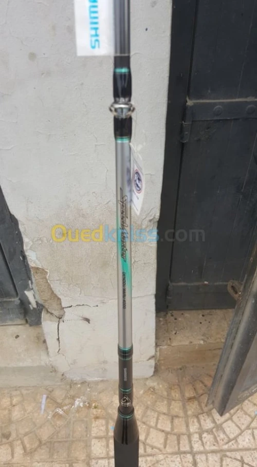 canne plus moulinet electrique
