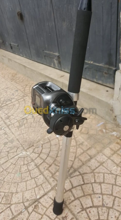 canne plus moulinet electrique