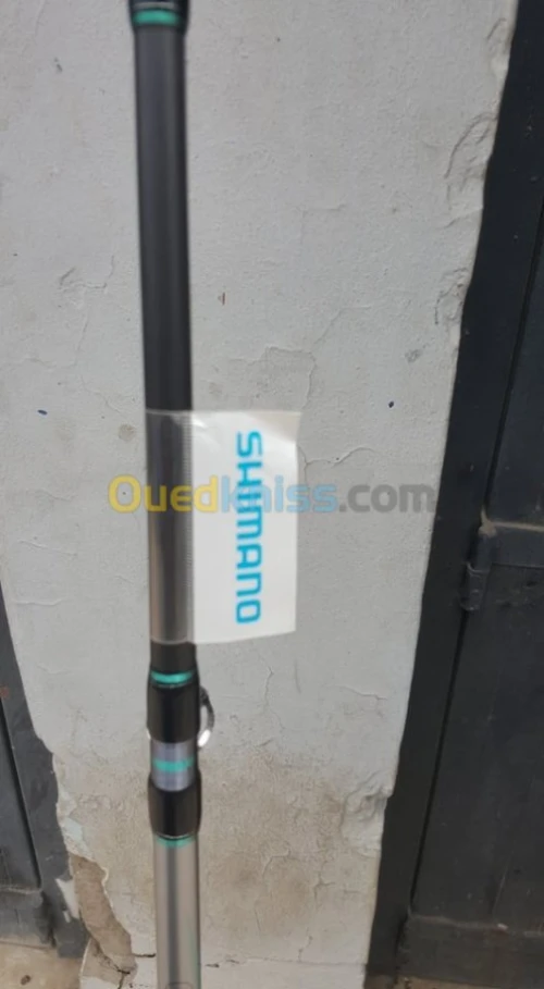 canne plus moulinet electrique