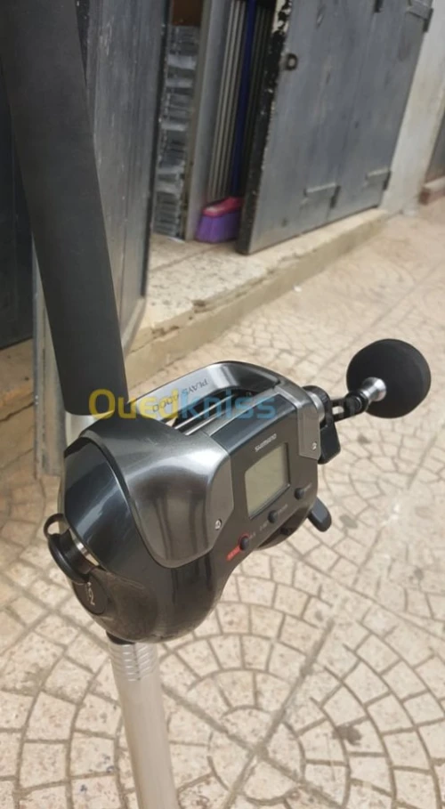 canne plus moulinet electrique
