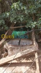 Vente Terrain Agricole Tlemcen Hennaya