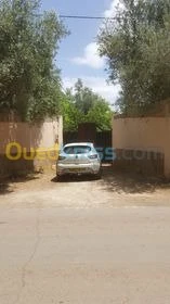 Vente Terrain Agricole Tlemcen Hennaya