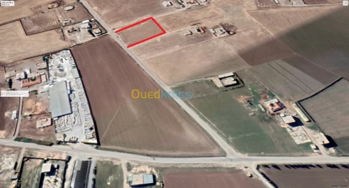 Vente Terrain Setif El eulma