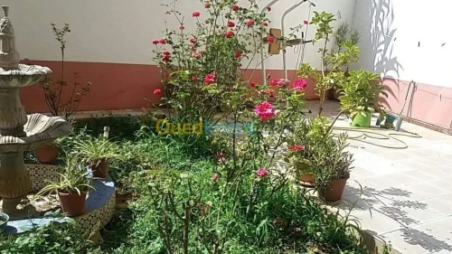 Vente Appartement F5 Alger Cheraga