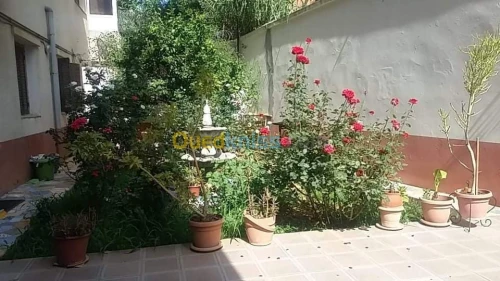 Vente Appartement F5 Alger Cheraga
