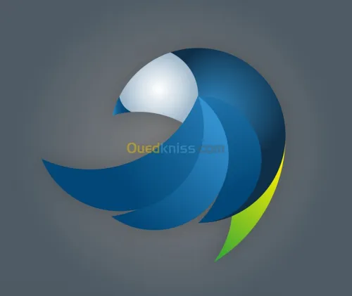 Conception graphique