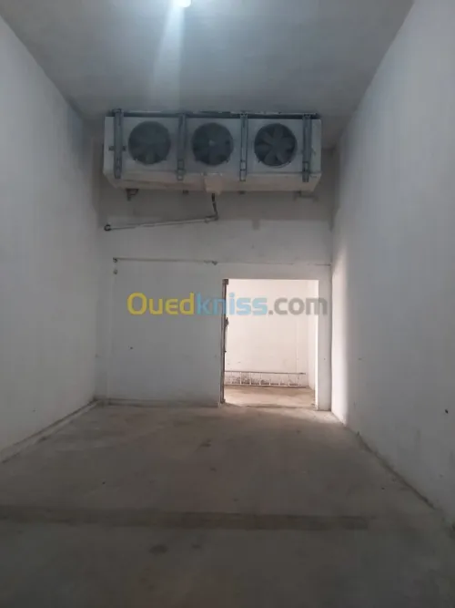 locations chambres froides