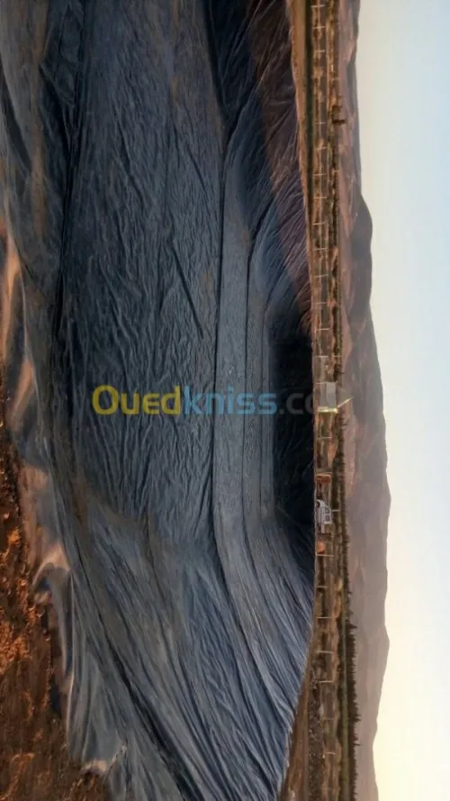 Pose et Soudure de Géomembrane