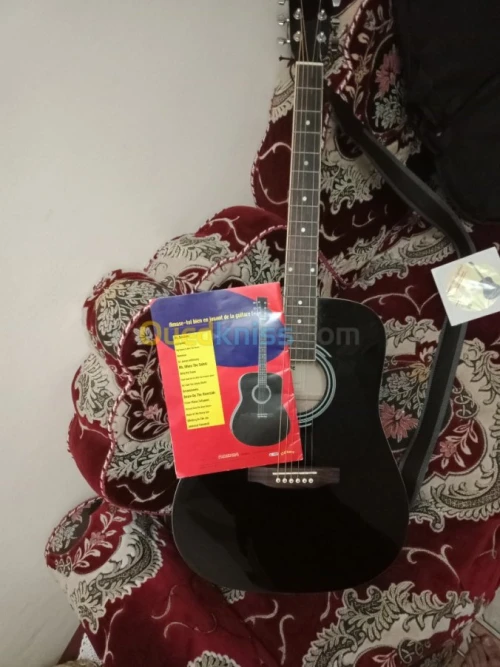 Guitare " C.Giant " professionnel 