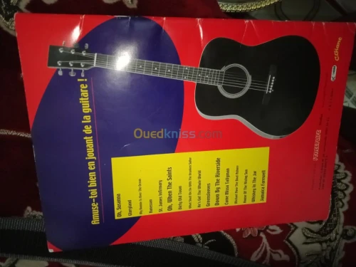 Guitare " C.Giant " professionnel 