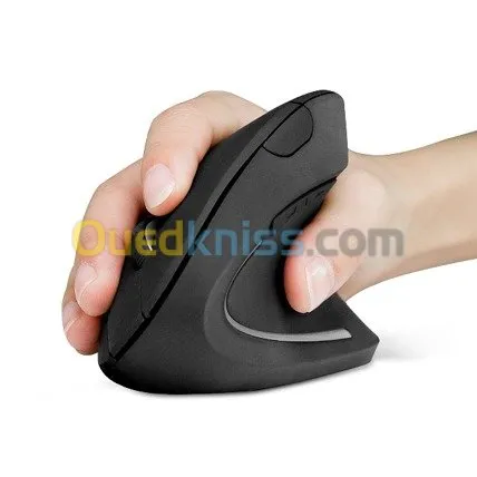Souris verticale  ergonomique _ Gamer 