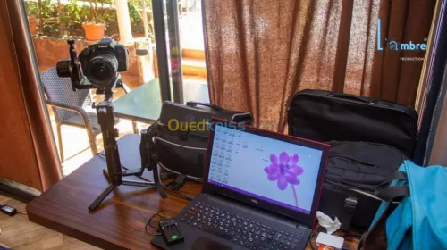 cameramen et woman : mariage et fête