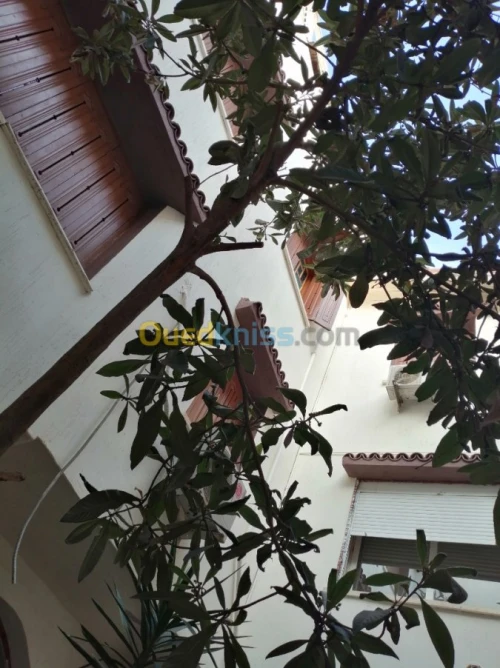 Location Villa Alger Bordj el bahri