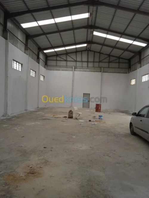 Location Hangar Guelma Belkheir