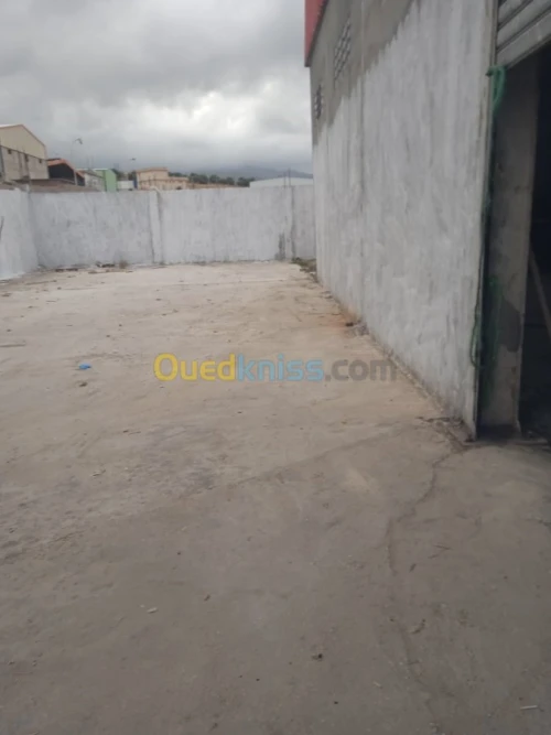 Location Hangar Guelma Belkheir