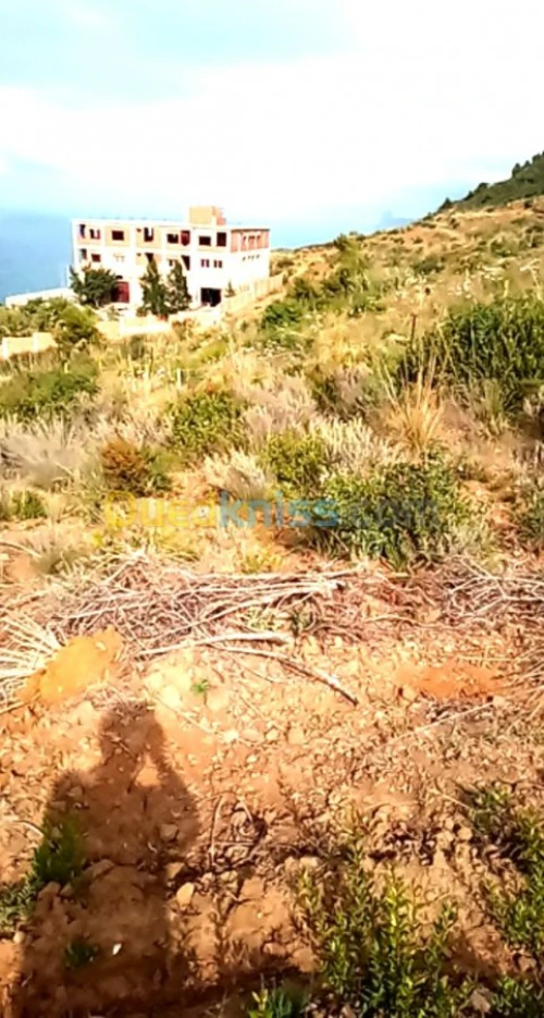 Vente Terrain Bejaia Bejaia