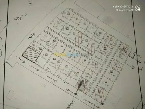 Vente Terrain Blida Ouled yaich