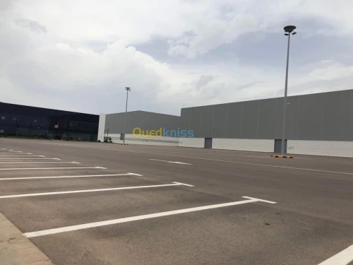 Location Hangar Alger Baraki