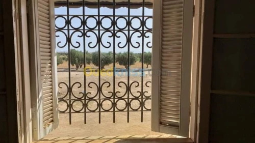 Vente Appartement F3 Sidi bel abbes Lamtar