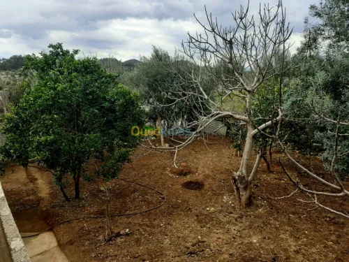 Vente Niveau De Villa F5 Bejaia Boudjellil