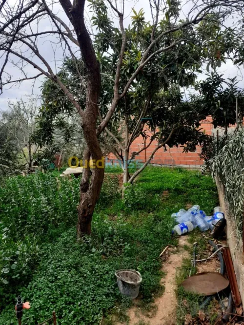 Vente Niveau De Villa F5 Bejaia Boudjellil