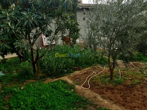 Vente Niveau De Villa F5 Bejaia Boudjellil