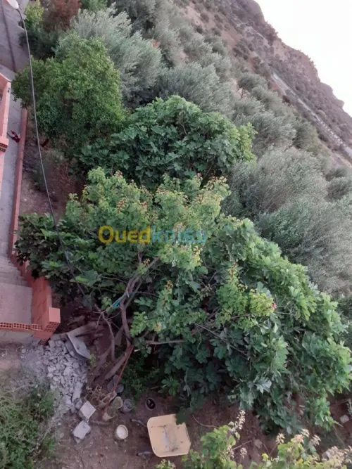 Vente Niveau De Villa F5 Bejaia Boudjellil