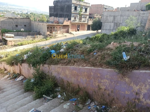Vente Terrain Tlemcen Chetouane