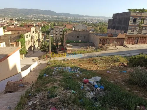 Vente Terrain Tlemcen Chetouane