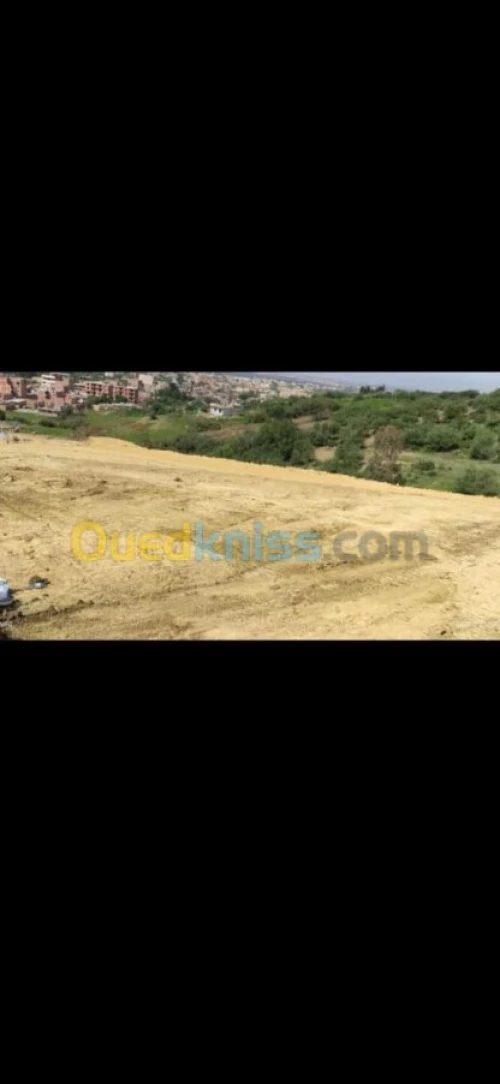 Vente Terrain Blida Bougara
