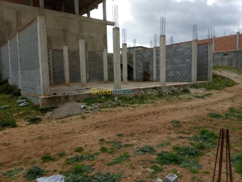 Vente Carcasse Skikda Sidi mezghiche