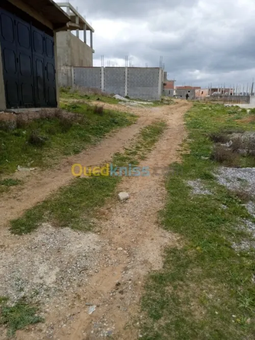Vente Carcasse Skikda Sidi mezghiche