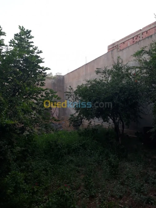 Vente Villa Tlemcen Chetouane