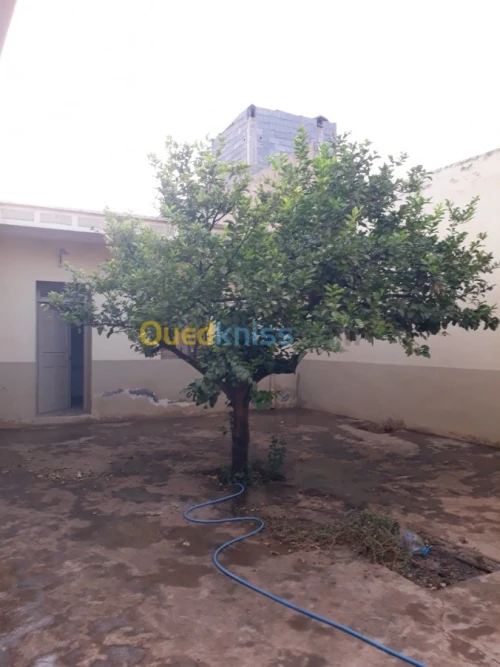 Vente Villa Tlemcen Chetouane