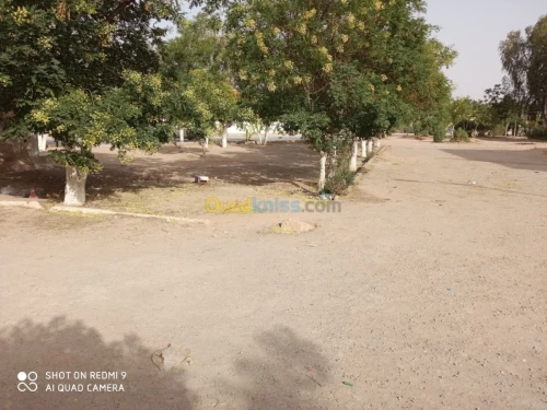 Vente Appartement F5 Tébessa Morsott