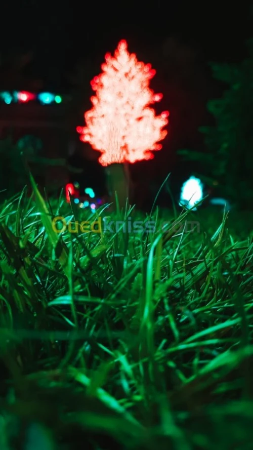 MONTAGE VIDEO 