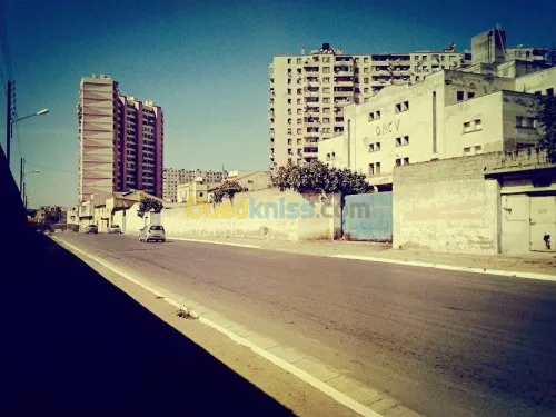 Vente Appartement F3 Oran Oran