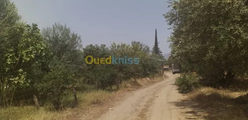 Location Terrain Bouira Ahnif
