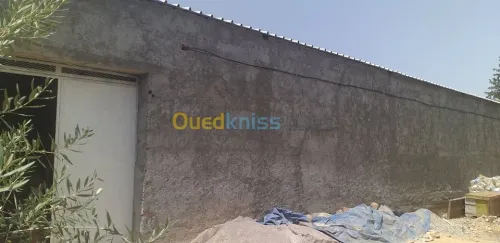 Location Terrain Bouira Ahnif