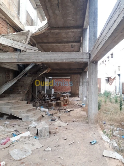 Vente Carcasse Ain temouchent Ain temouchent