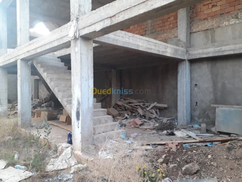 Vente Carcasse Ain temouchent Ain temouchent