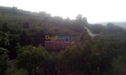 Vente Terrain Agricole Skikda Benazouz beni bechir