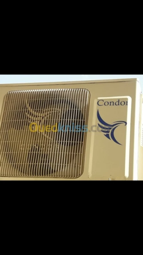 Condor