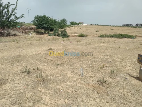 Vente Terrain Khenchela Kais