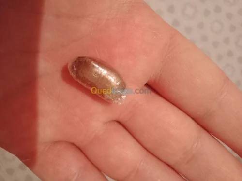 Grains de bourrache لسان الثور
