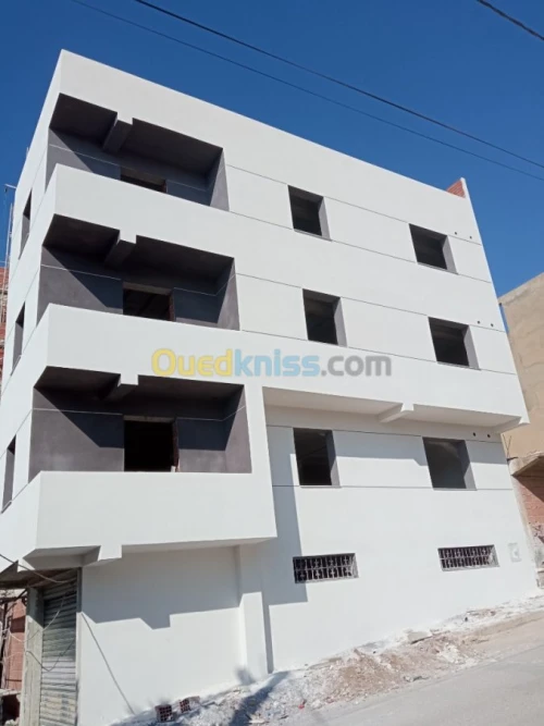 Peinture du facade en monocouche